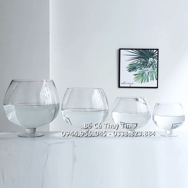 Bể cá thủy tinh hình chiếc ly, bể trồng thủy sinh dáng ly