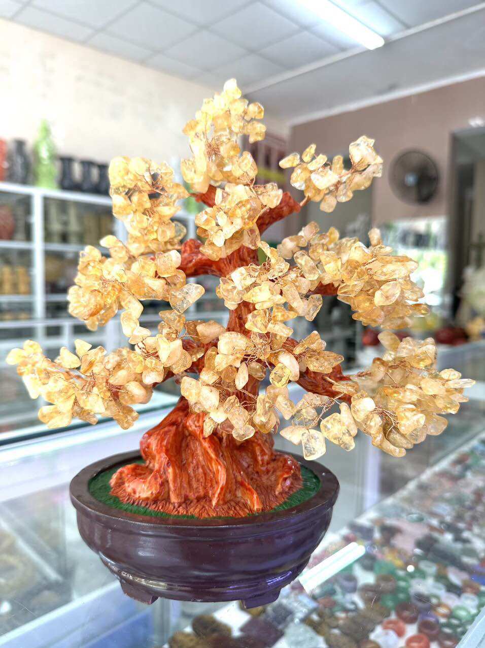 Châu cây phát tài lộc đá thạch anh vàng cao 30cm bao lộc