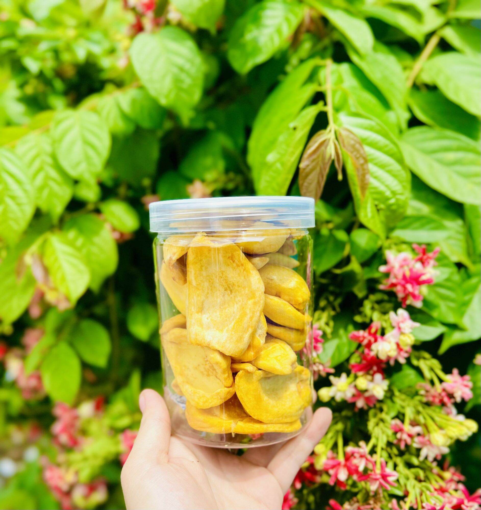 500g Mít sấy giòn xuất khẩu