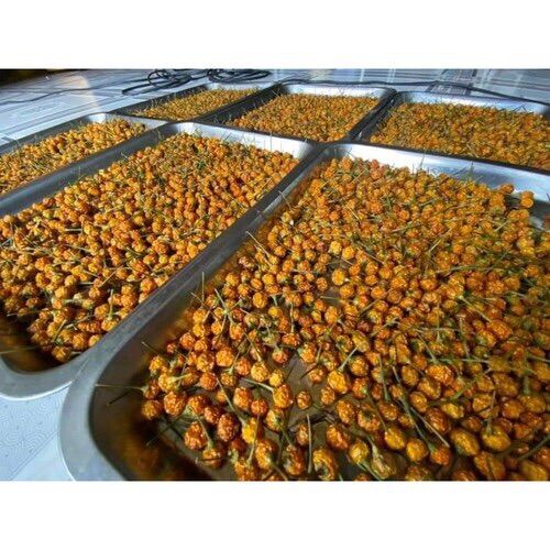 Ớt Peru Charapita ( hạt giống ớt Peru Charapita )