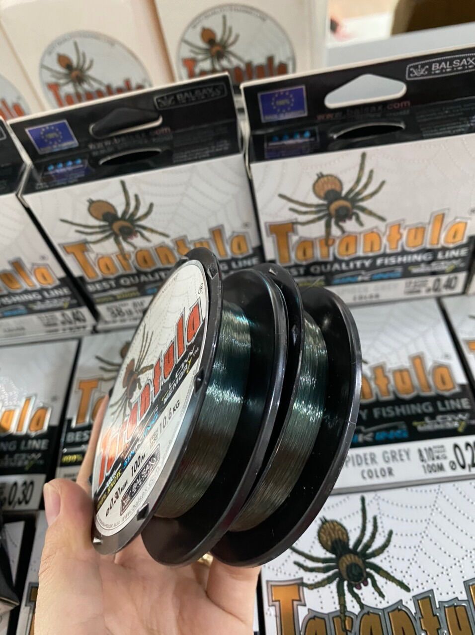 CƯỚC CÂU CÁ TARANTULA 100m – NHỆN