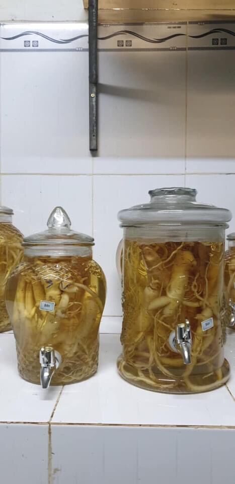 Dược liệu
