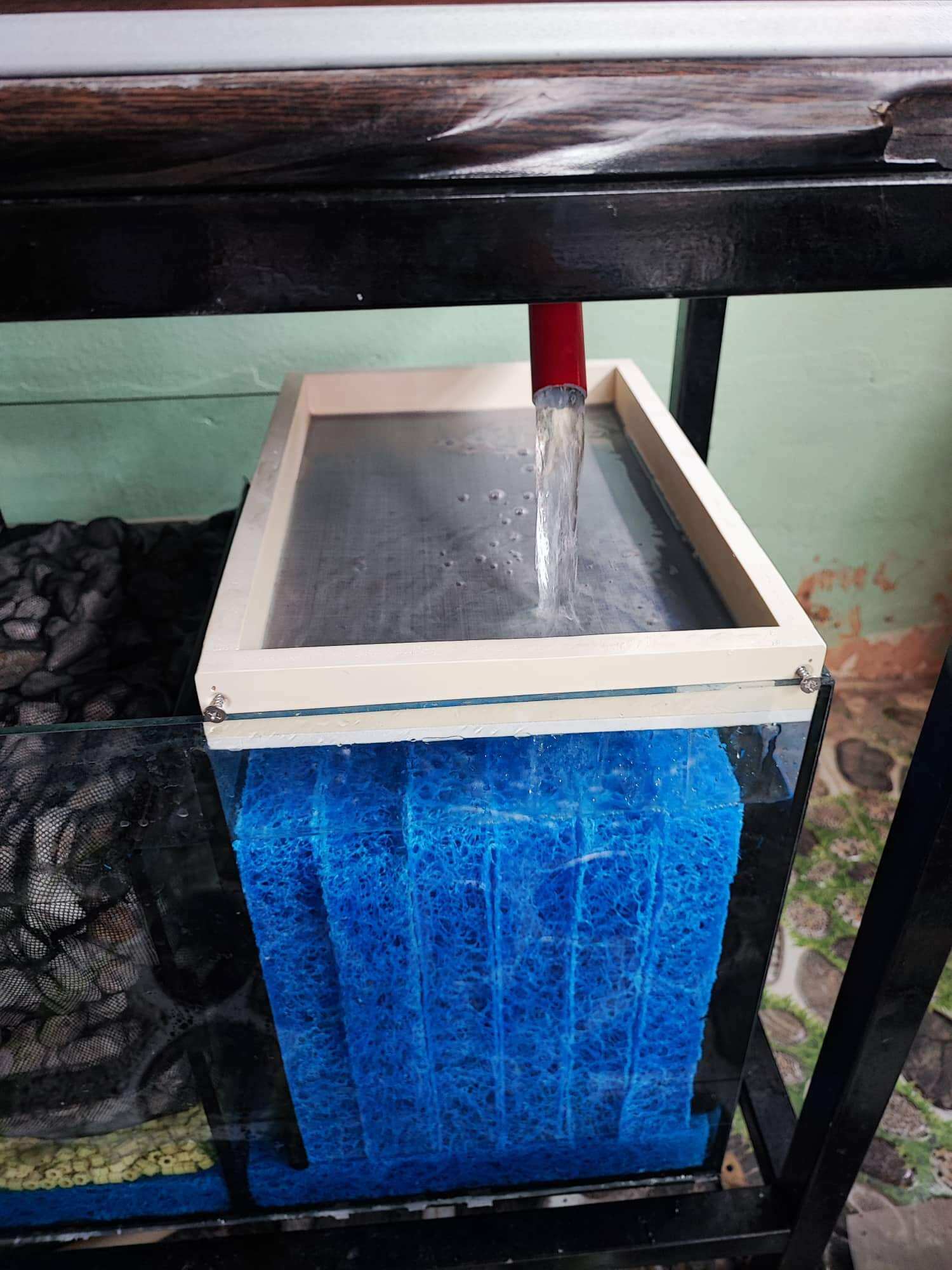 Khay hứng,tách phân cho bể cá cảnh.