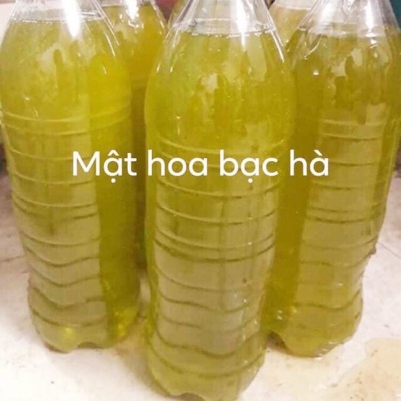 Mật ong hoa bạc hà chuẩn xịn chai 1 lít