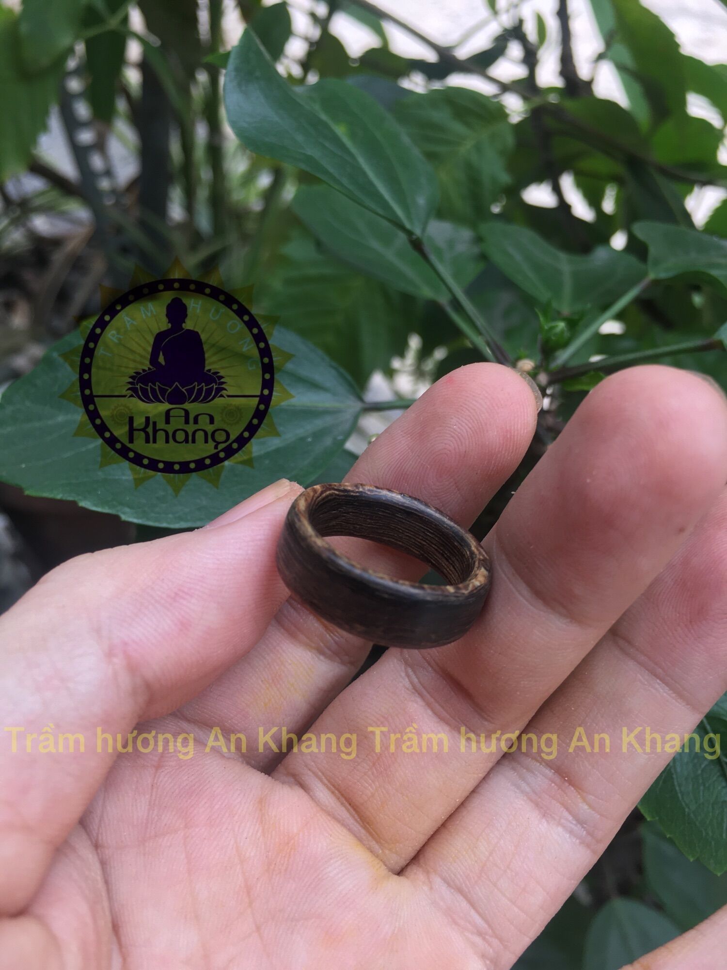 Nhẫn trầm sánh chìm bản nhỏ