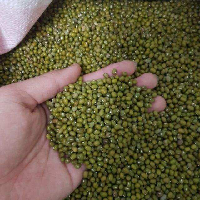 ĐẬU XANH NGUYÊN HẠT 100G