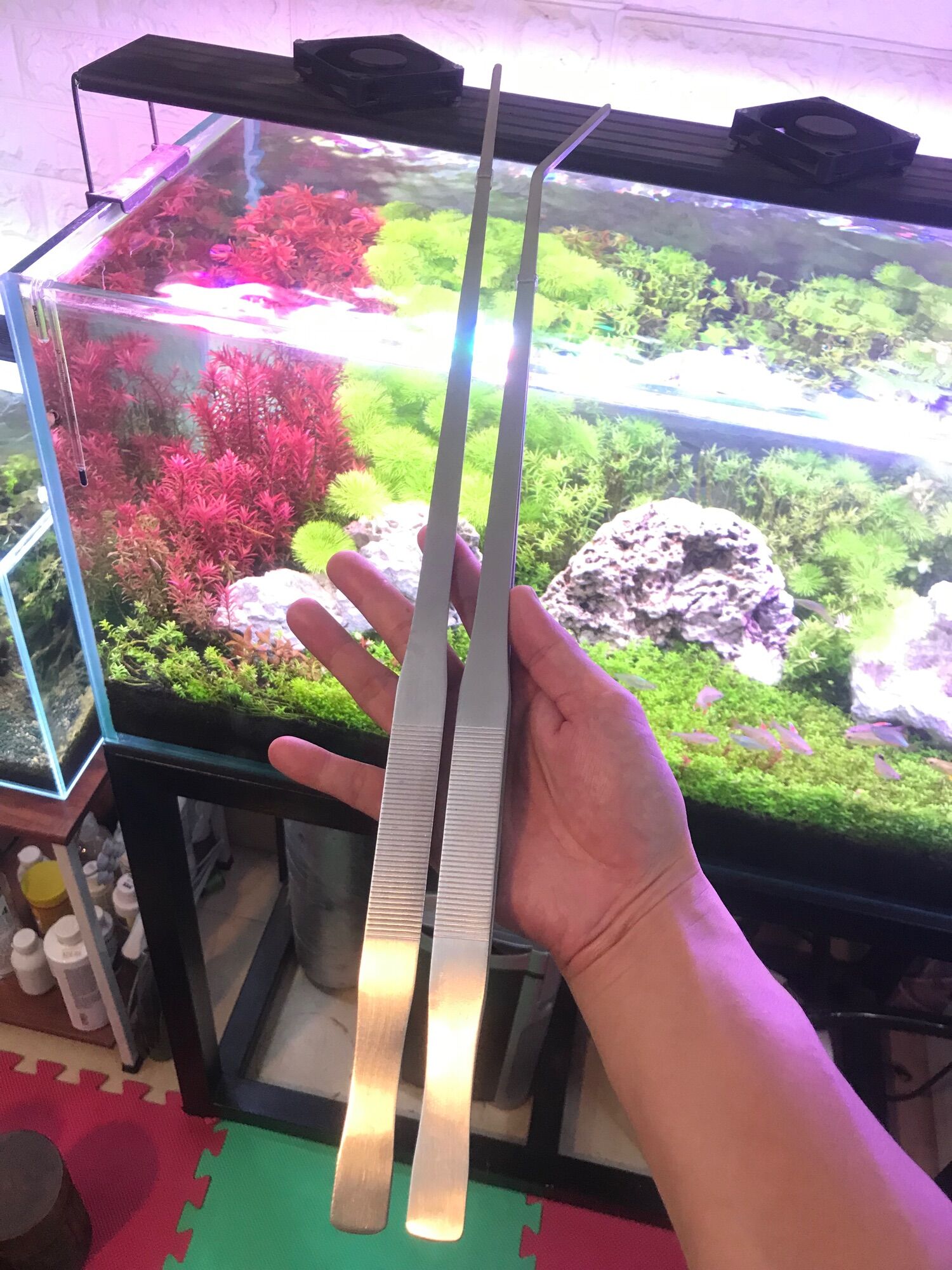 Nhíp trồng cây thủy sinh bằng thép không rỉ