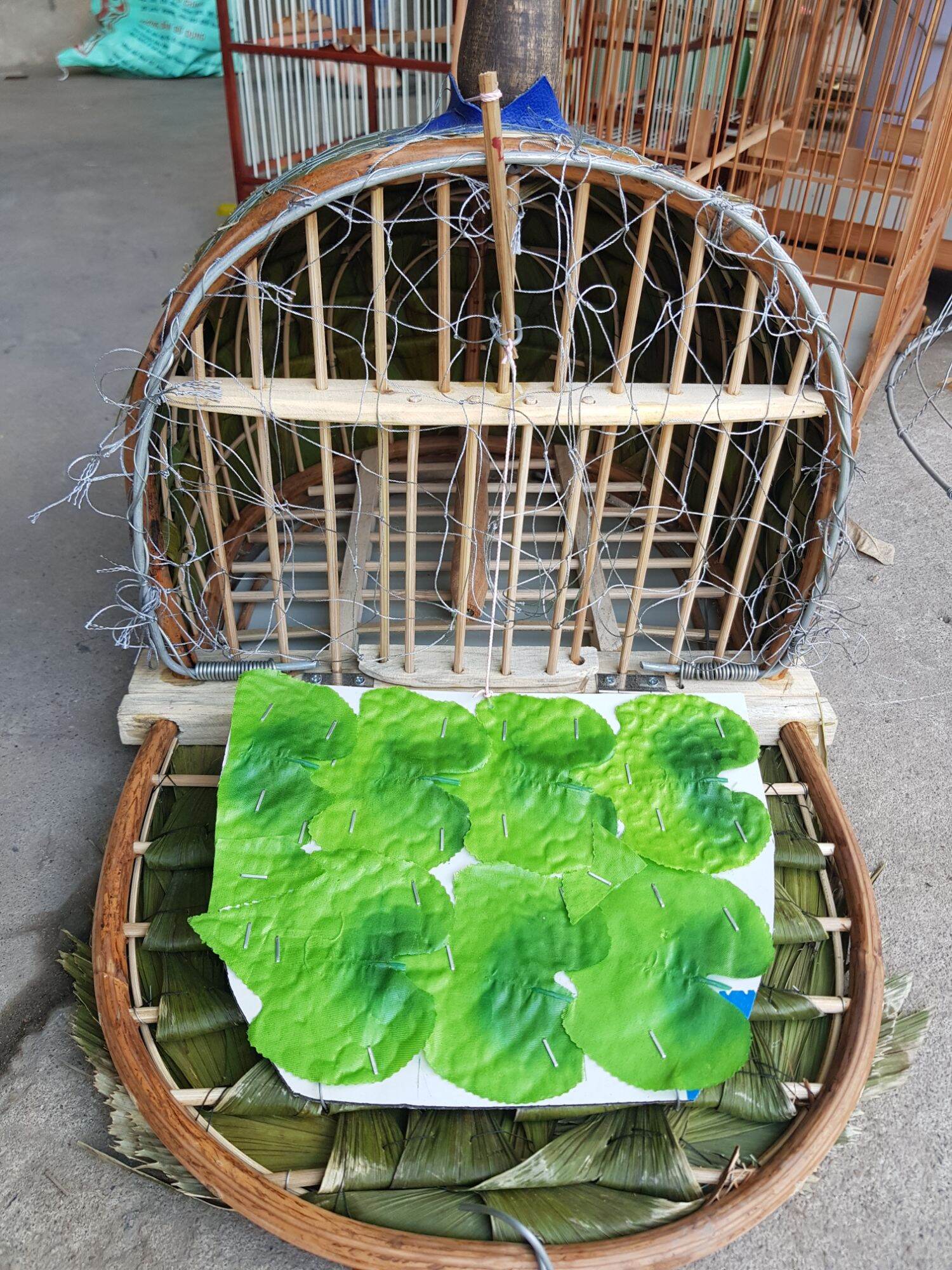 Lồng bẫy chim cu gáy hàng đẹp