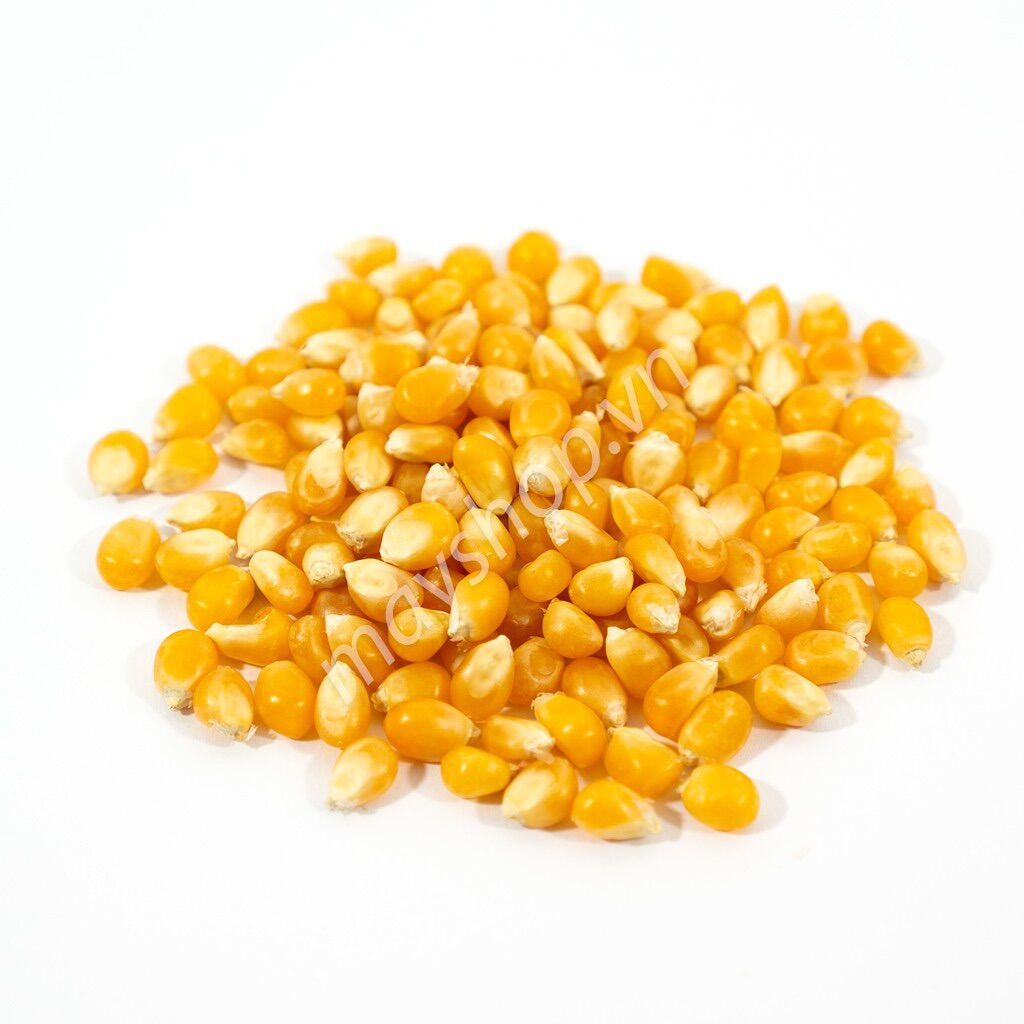 Ngô nổ popcorn mỹ 250g