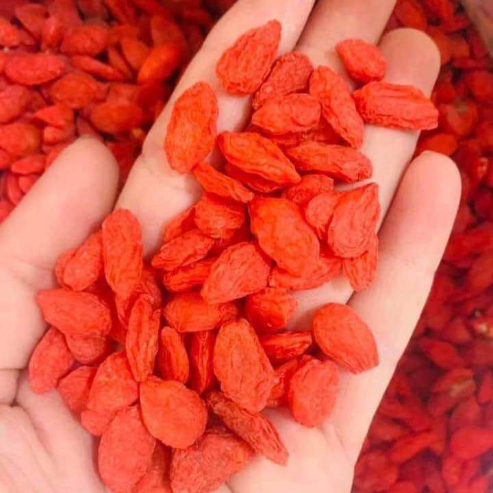 [Shop Mới] KỶ TỬ 100g ( Kỷ tử Ninh Hạ ) sạch, khô, chọn lọc