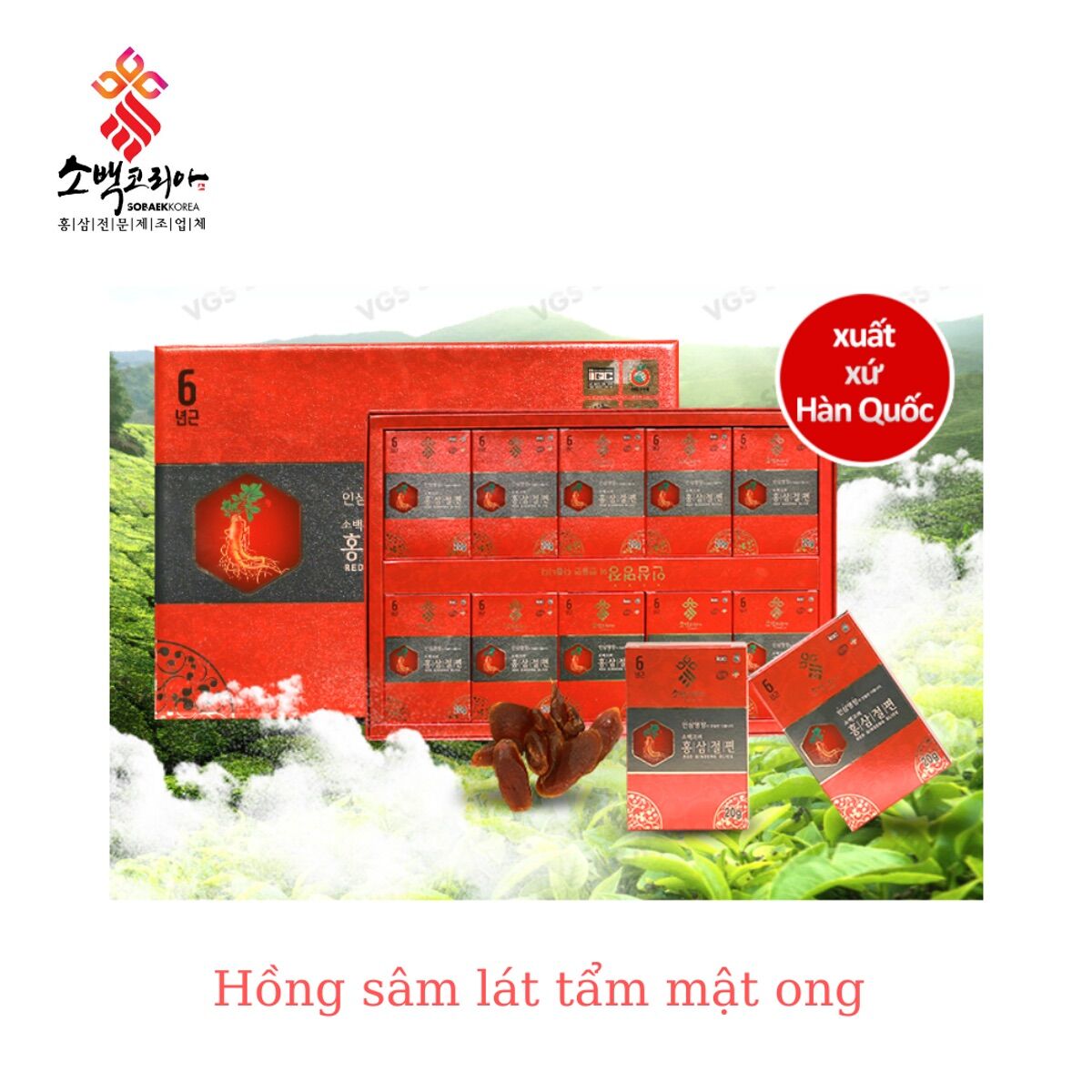 (freeship) HỒNG SÂM LÁT TẨM MẬT ONG - SOBAEK KOREA