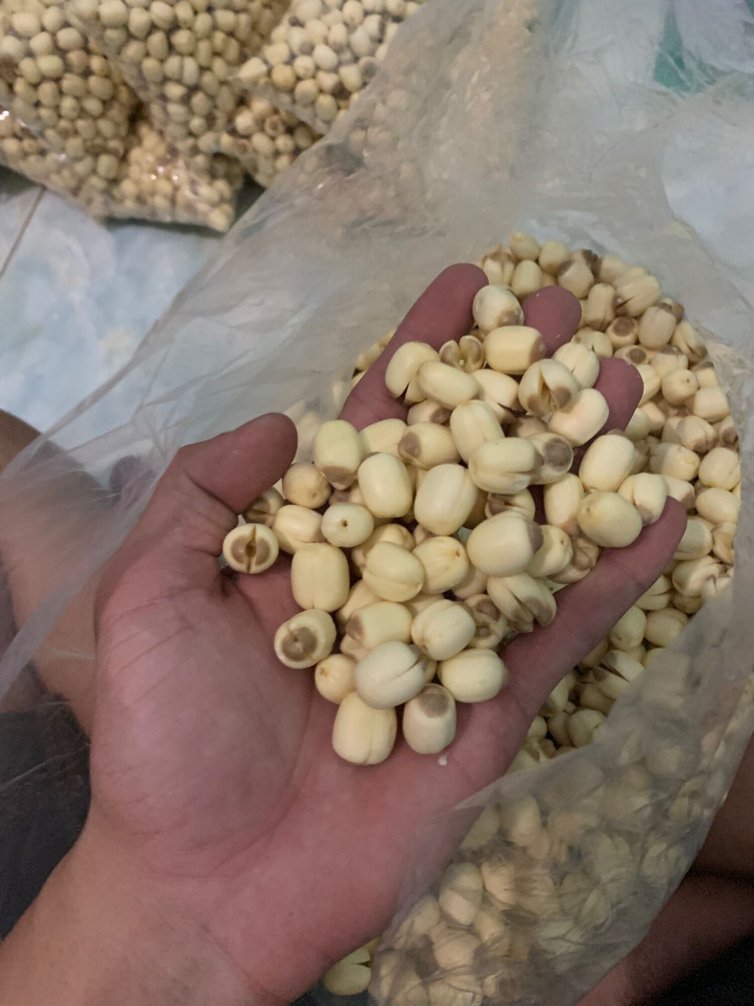 Hạt sen tươi Đồng Tháp