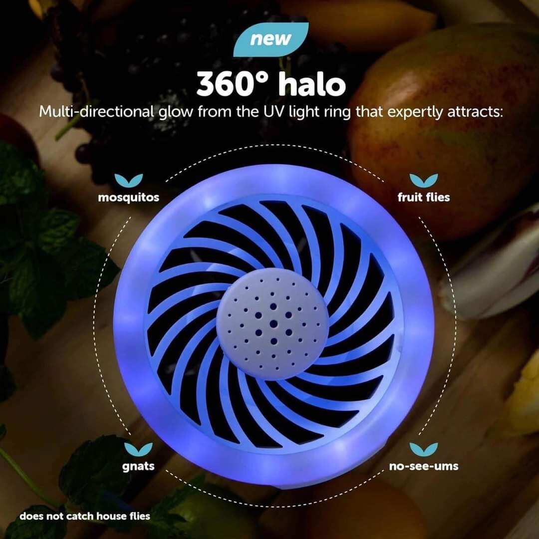 Đèn bắt muỗi  KATCHY DUO 2 IN 1