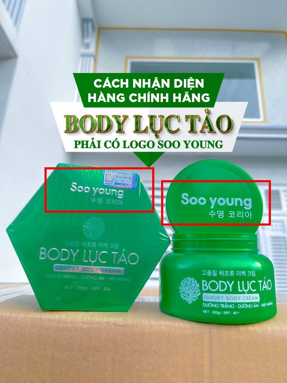 Kem body lục tảo