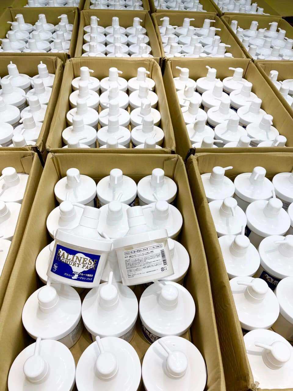 500Gr Ủ TRẮNG SỮA CHUA BALINESE YOGHURT PACK