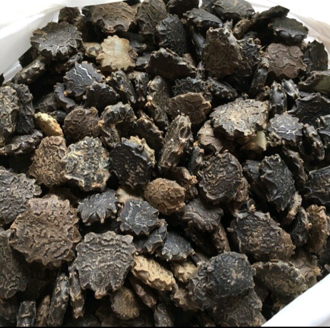 HẠT GẤC KHÔ 500G