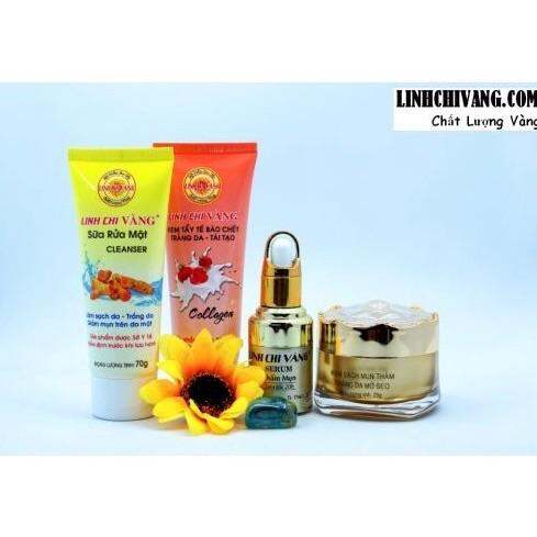 COMBO DƯỠNG SIÊU TRẮNG DA LINH CHI VÀNG 25g