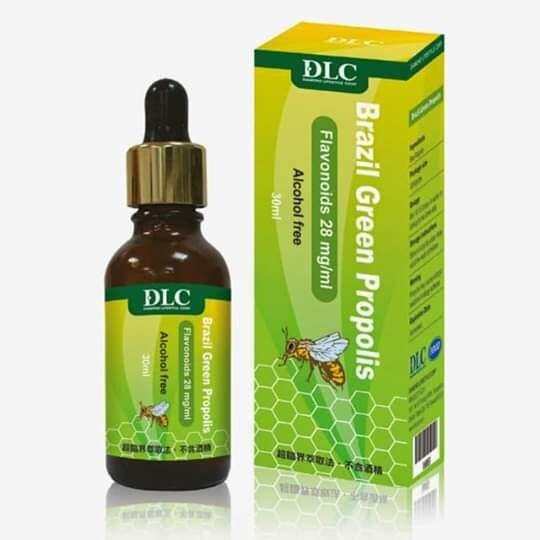 KEO ONG XANH - BRAZIL