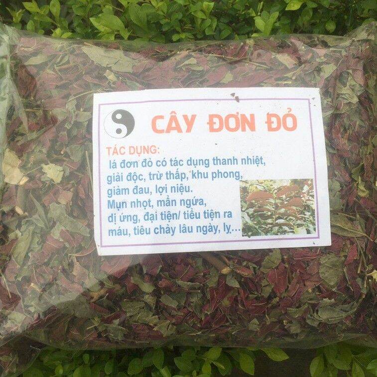 1kg lá đơn đỏ , hết dị ứng mẩn ngứa