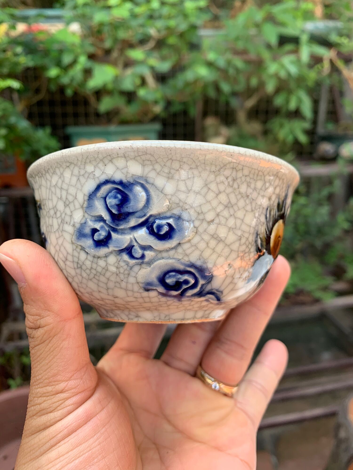 Chậu trồng cây bonsai mini