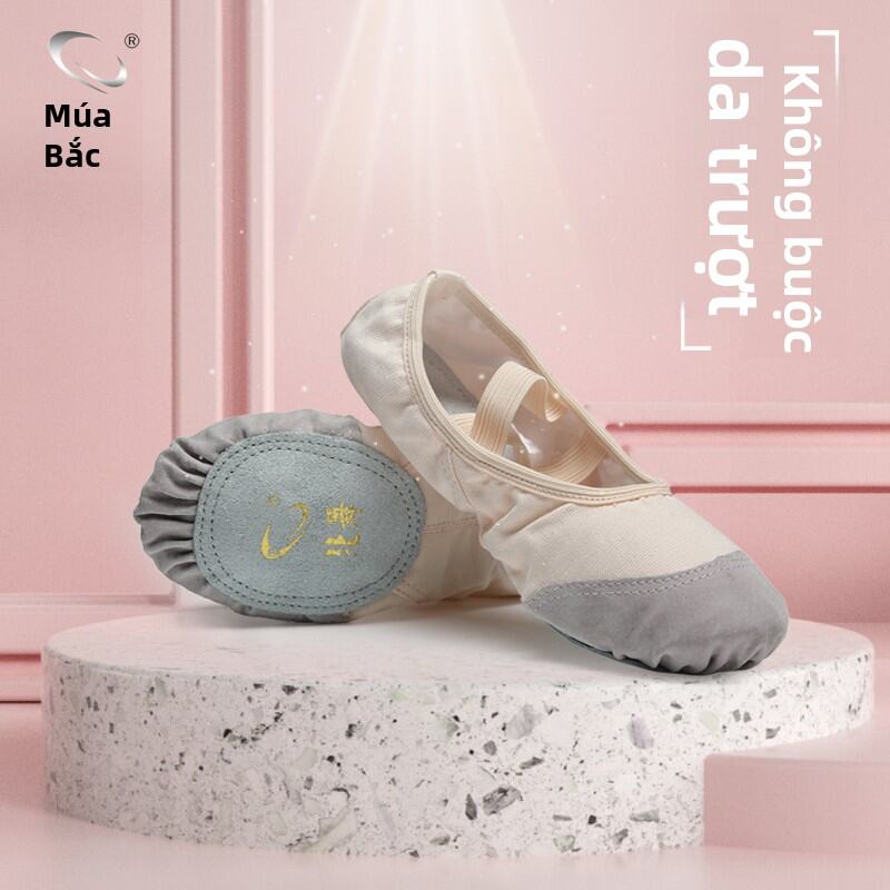Giày Khiêu Vũ Mềm Mại Cho Nam Và Nữ Giày Khiêu Vũ Ballet Cho Trẻ Em Và Người Lớn Giày Tập Thể Dục Giày Khiêu Vũ Ba Lê