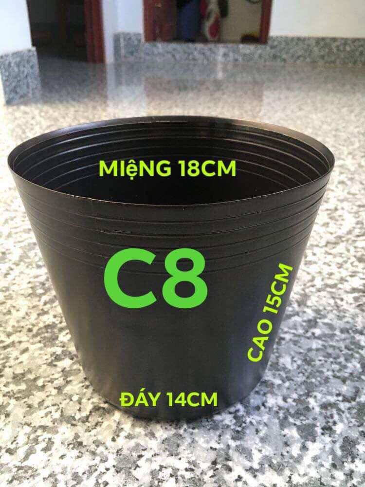 Combo 50-100 chậu nhựa đen dày c8