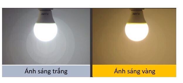 5 đèn led búp tròn 5W