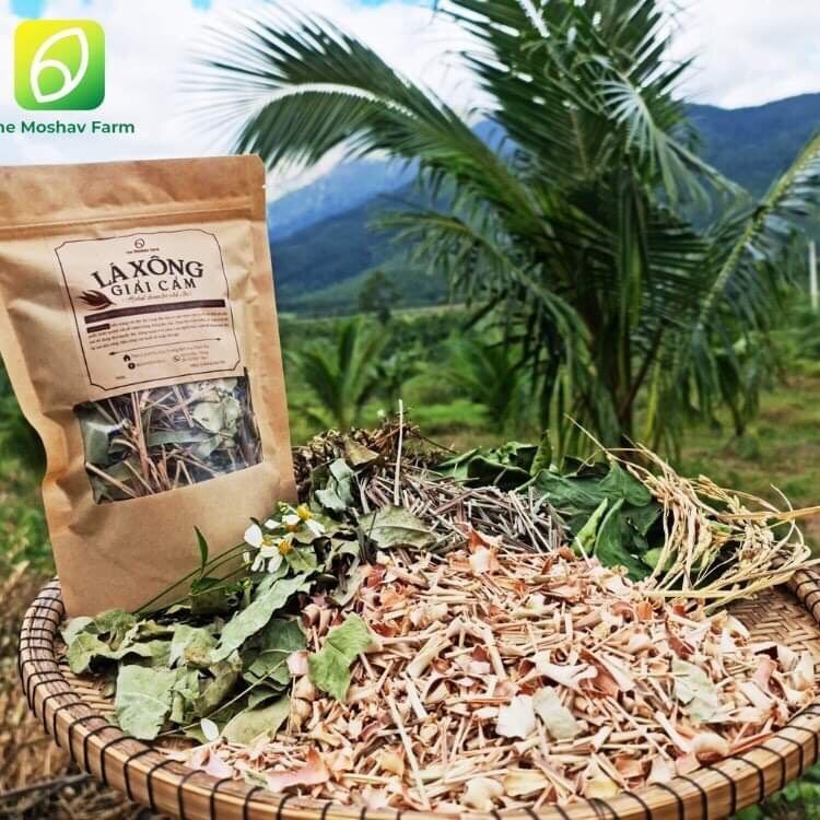 Lá xông cảm thảo dược - giải cảm trừ cúm