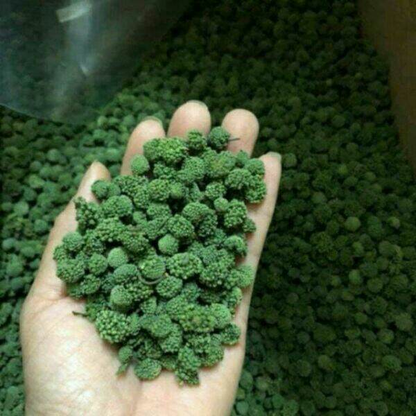 200g nụ tam thất bao tử