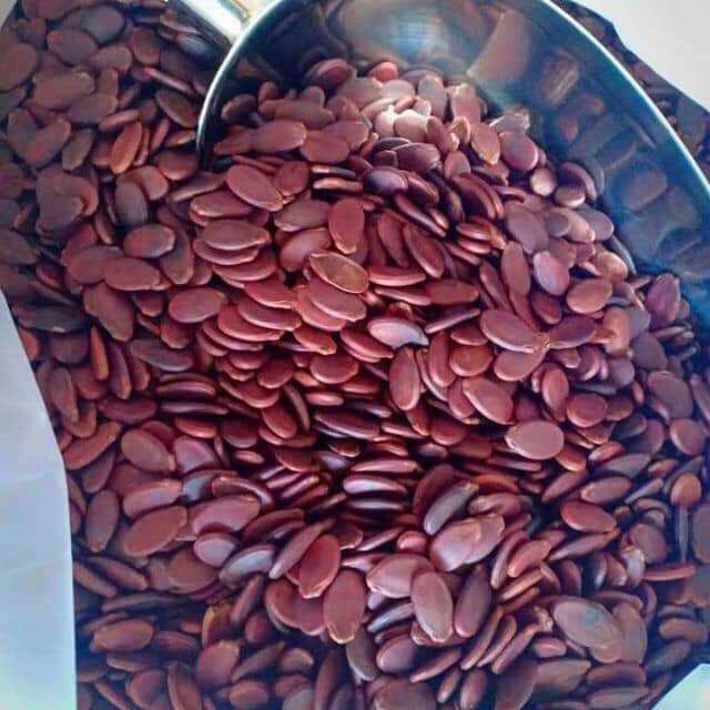 0,5kg hạt dưa rang bơ muối thái sơn gia lai. không phẩm màu, rang củi.