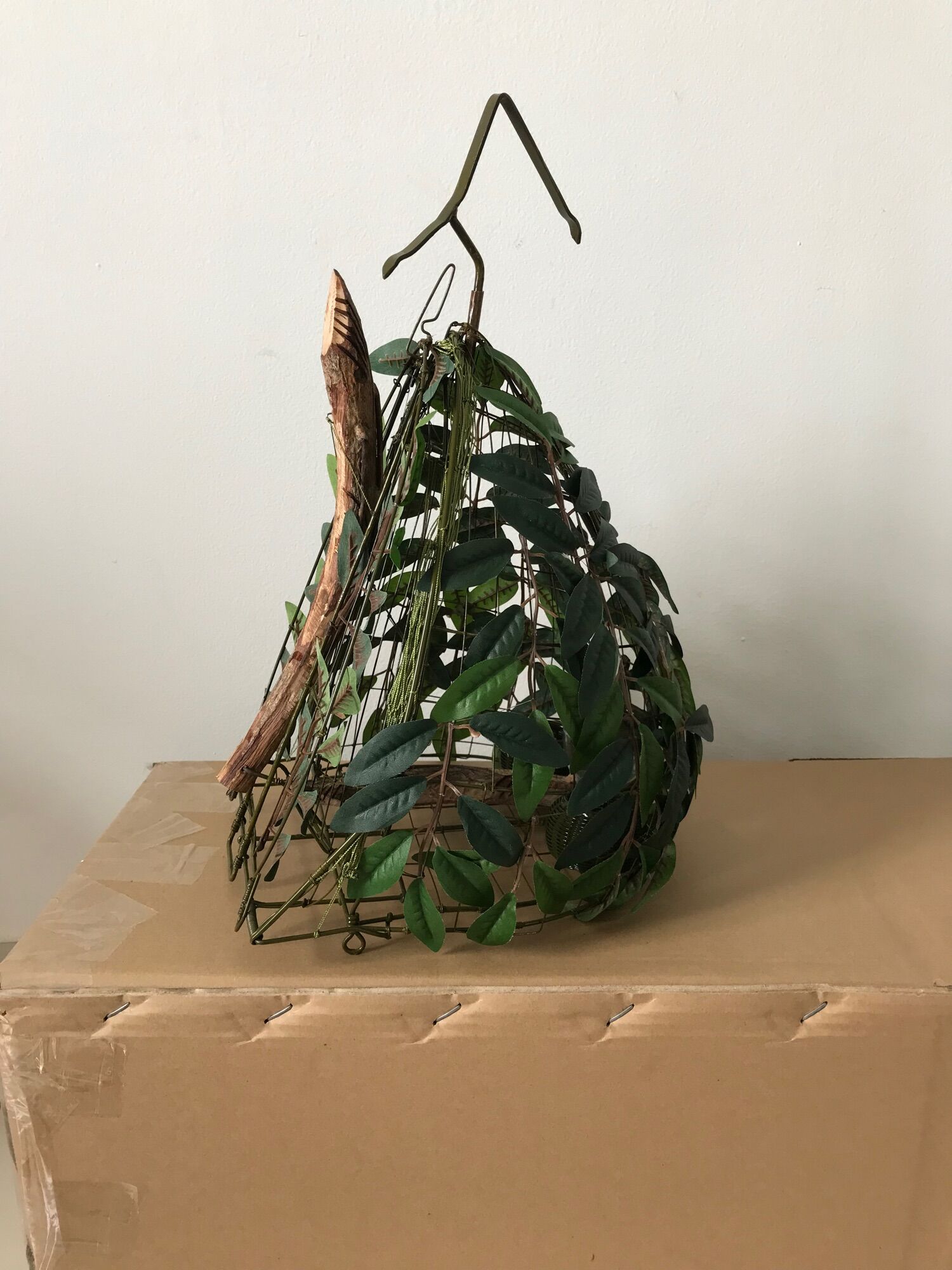 Lụp, lồng bẫy chim cu gáy