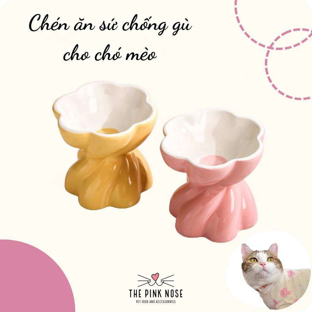 ✨✨ Bát ăn sứ tráng men chống gù lưng cho chó mèo 🌸🌼 ✨✨