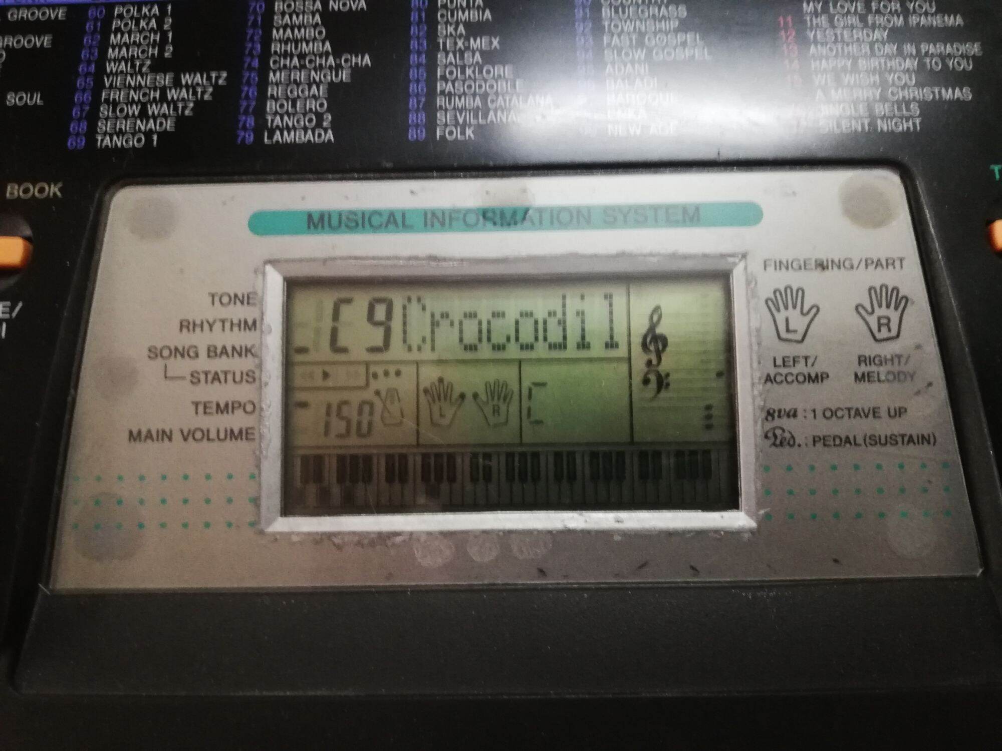 Đàn Organ Casio CTK 501