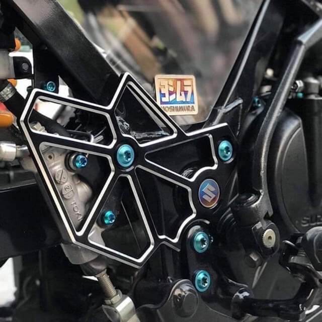 Nẹp sườn raider satria Fi logo titan ( không ốc )