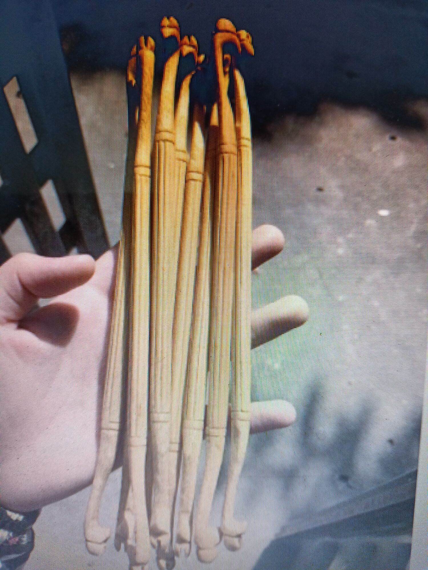 cầu rồng khuyên