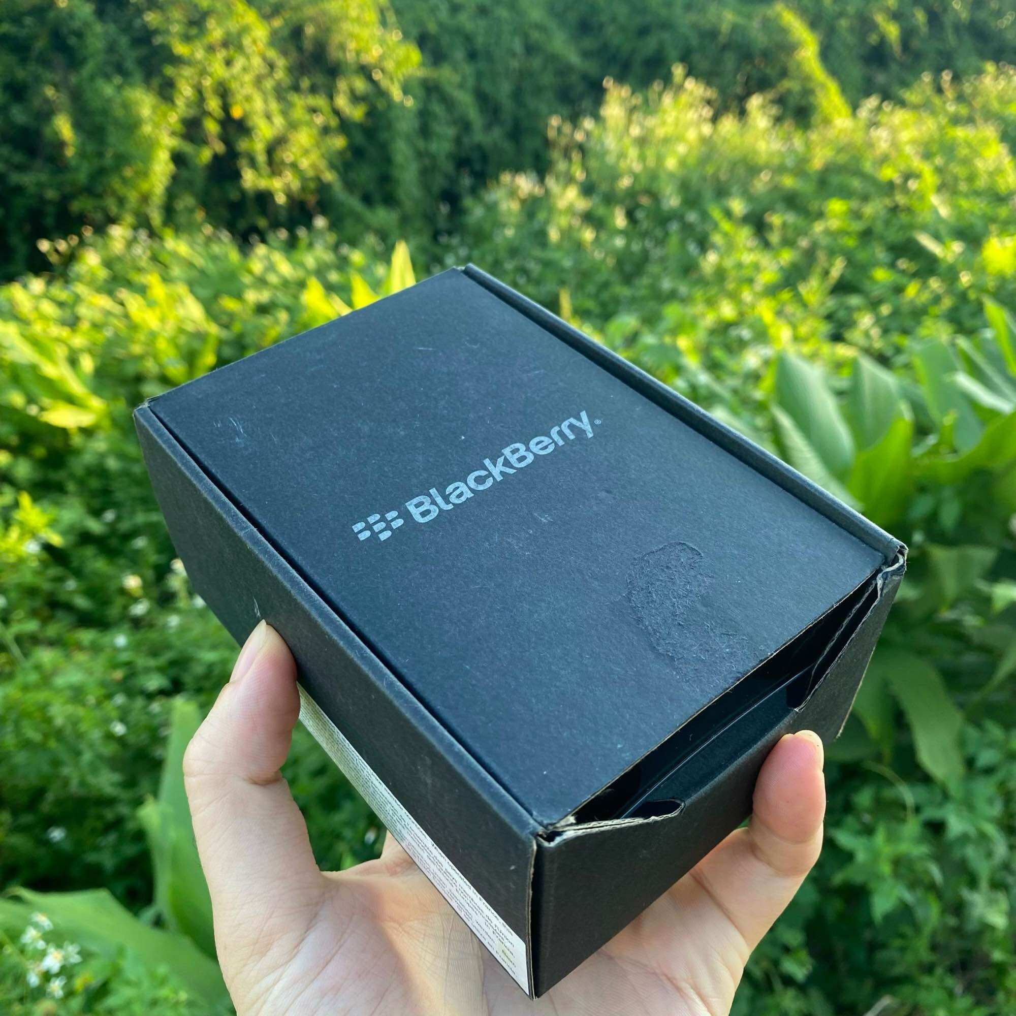 Blackberry 9800 Fullbox Kèm Dock Sạc