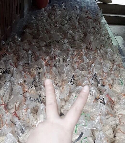 Măng nứa tươi tây bắc