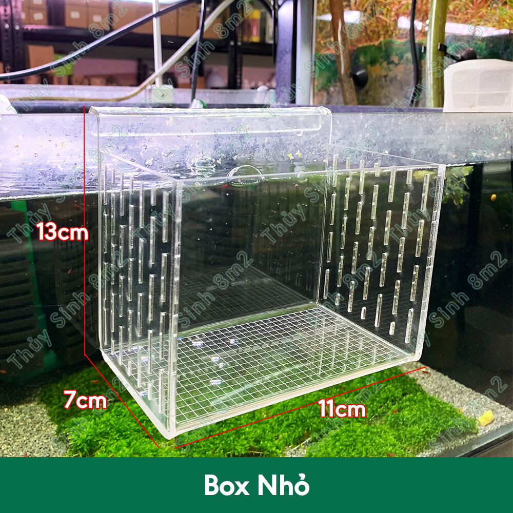 Box mica dưỡng tép, lồng đẻ cho cá 7 màu, lồng dưỡng cá | 8m2