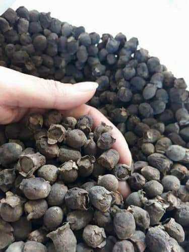 Quả Sim Rừng Khô Ngâm Rượu 500 Gram