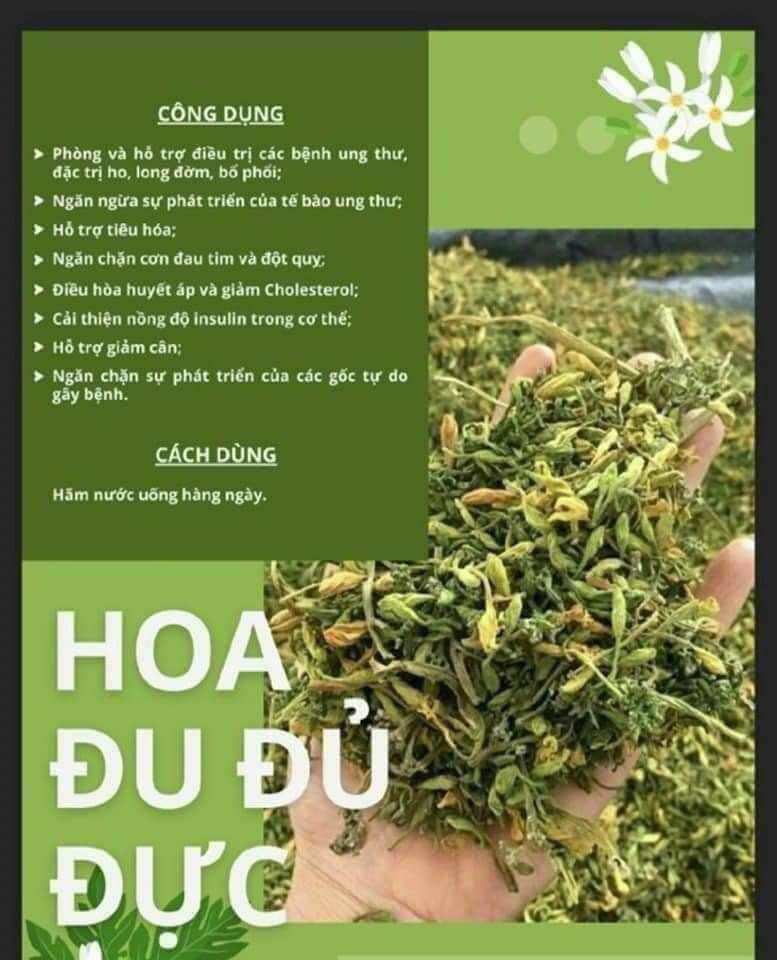 (Hàng sẵn) HOA ĐU ĐỦ ĐỰC KHÔ