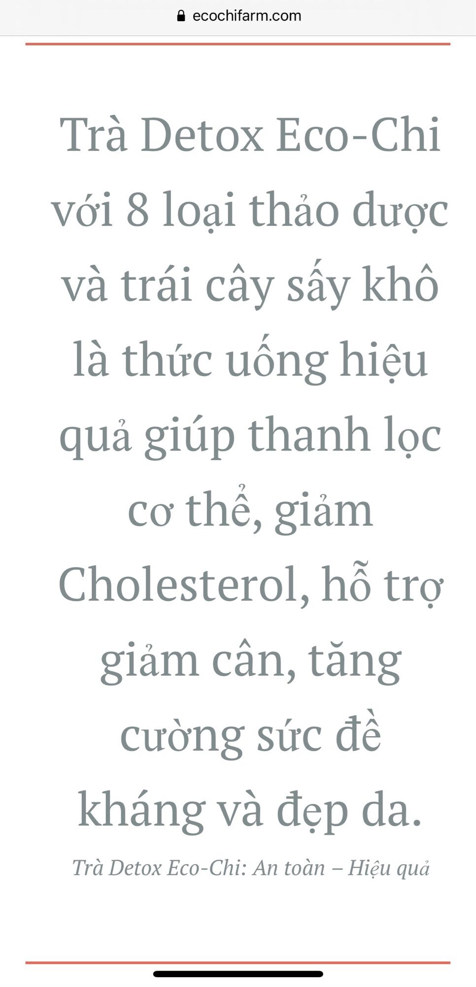 Trà Detox Ecochi - Hỗ trợ giảm cân - 100g