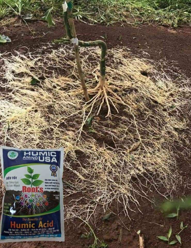 Humic USA