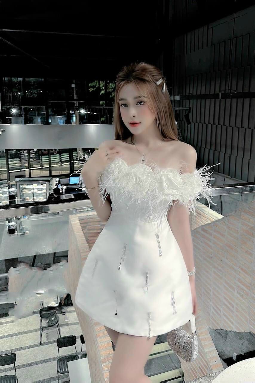 ĐẦM  XÒE HOA TRỄ VAI ĐÍNH LÔNG
