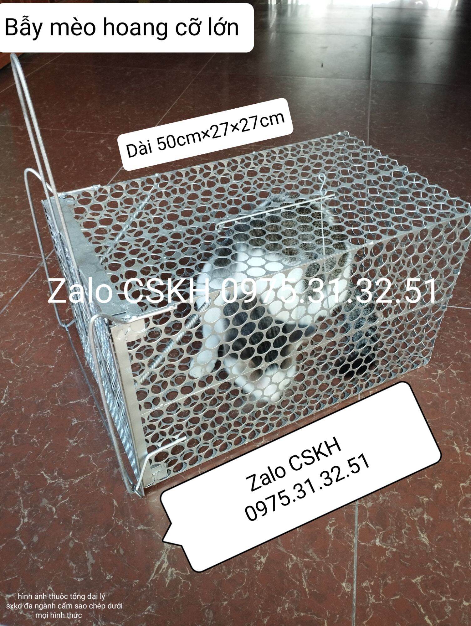 bẫy mèo hoang bắt gà con hàng đẹp dày