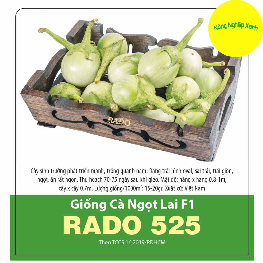 Hạt giống cà ngọt lai f1 rado 525 sai trái