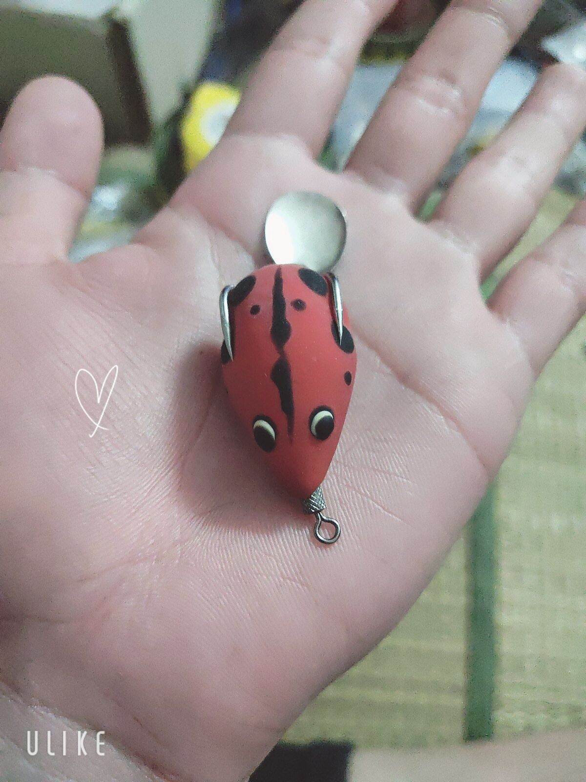 Nhái hơi sóc chuột