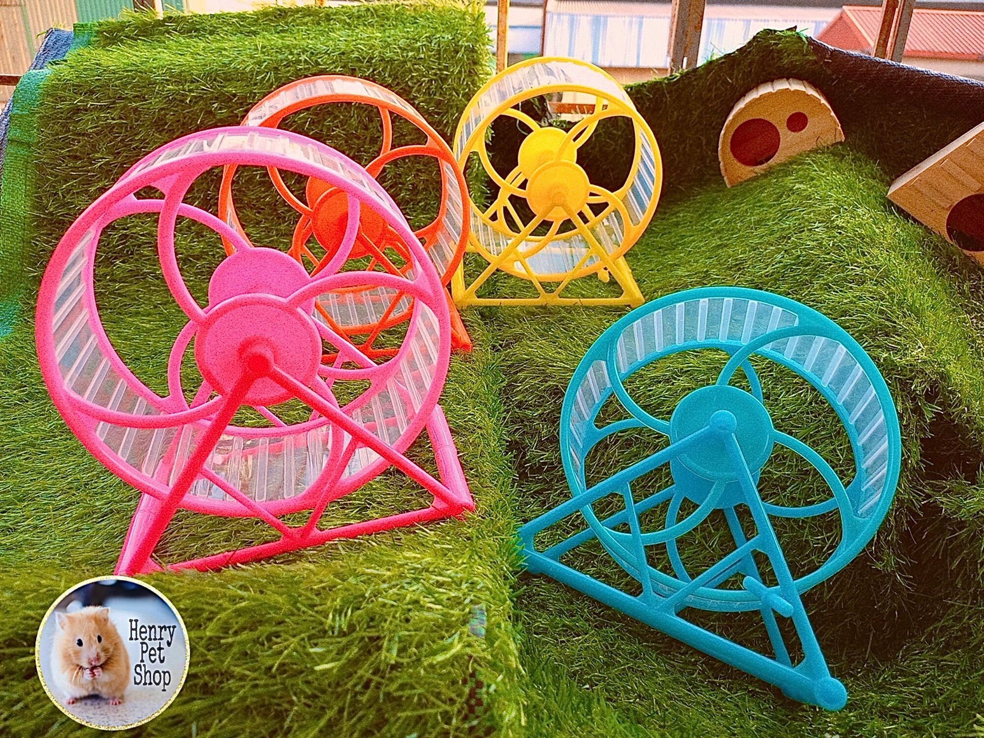 Wheel tesoro 15cm cho Hamster