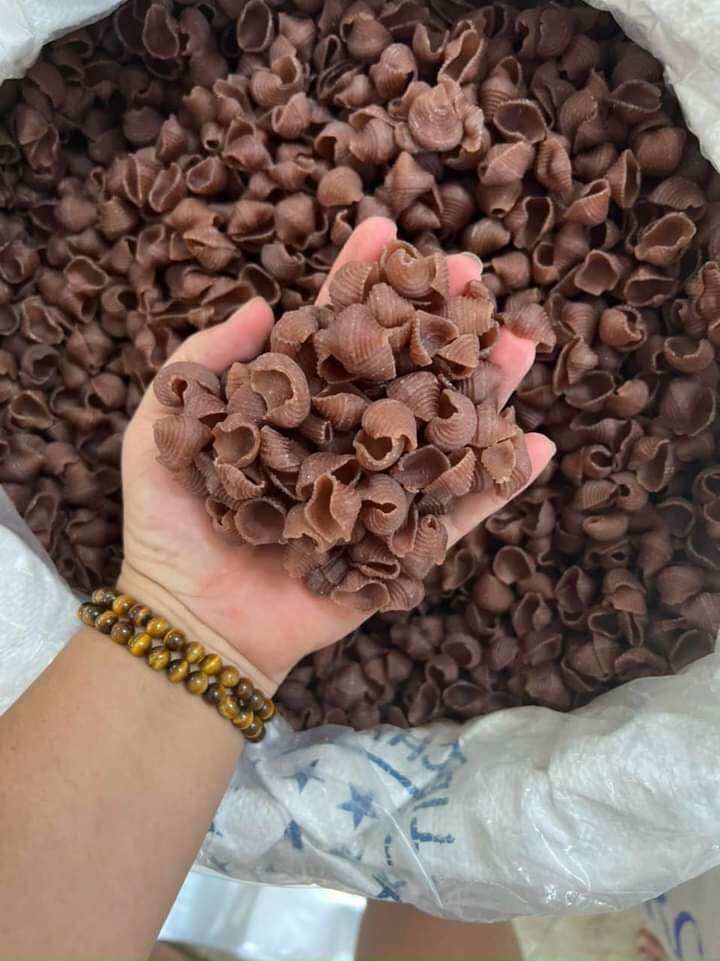 500g Nui sò gạo lứt