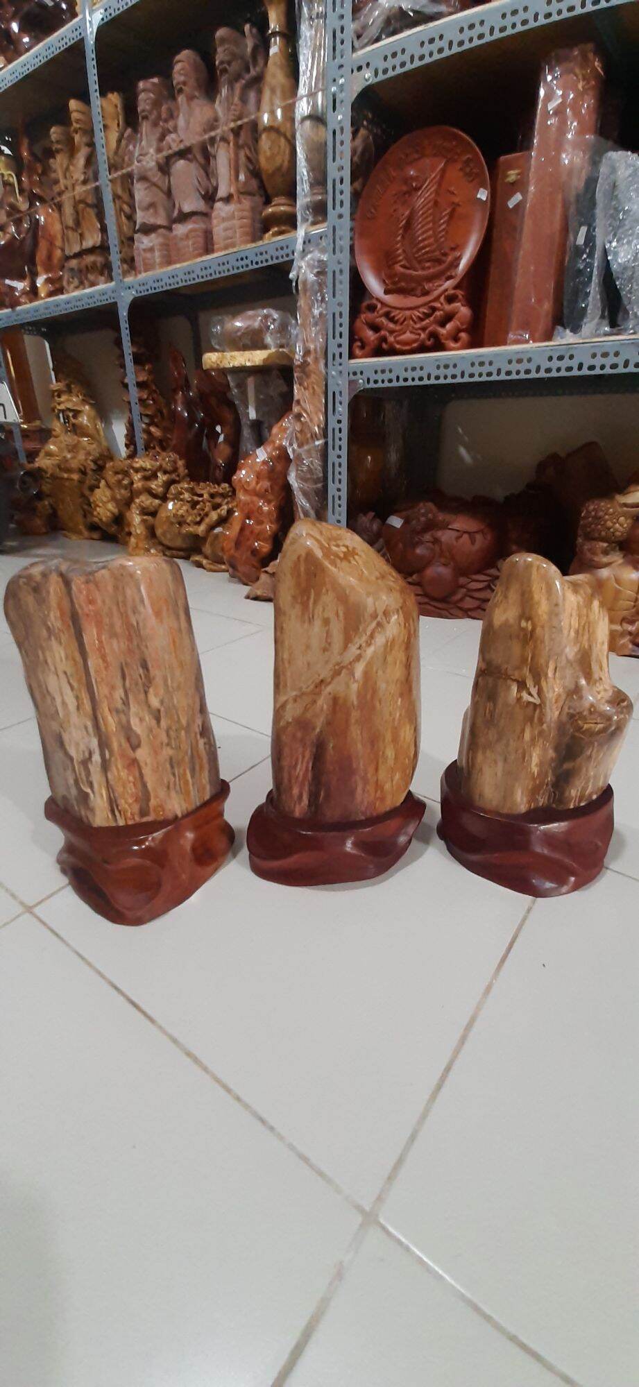 Gỗ hóa thạch 15x20x35