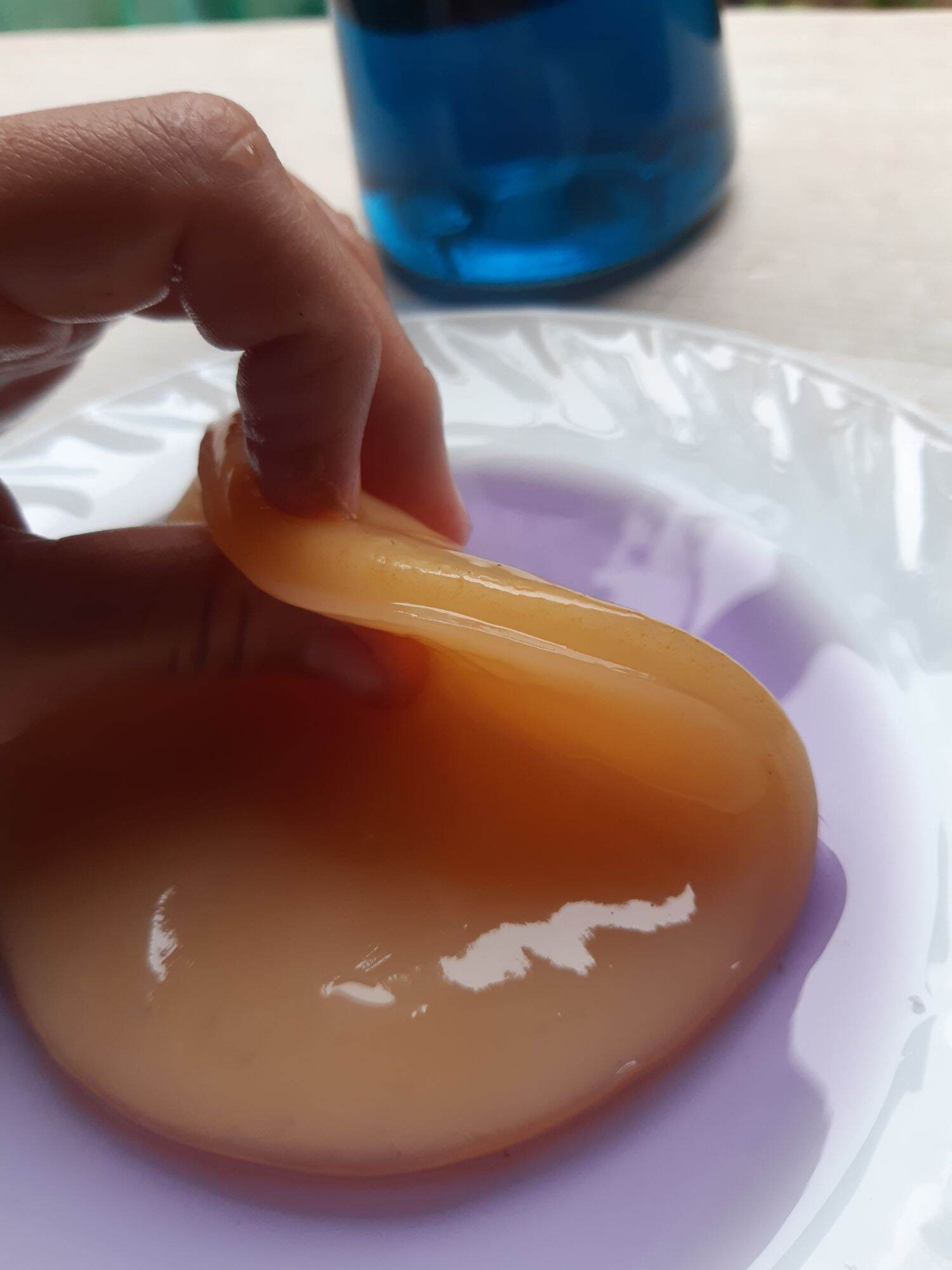 scoby kombucha( con giống thủy sâm) dùng làm trà kombucha